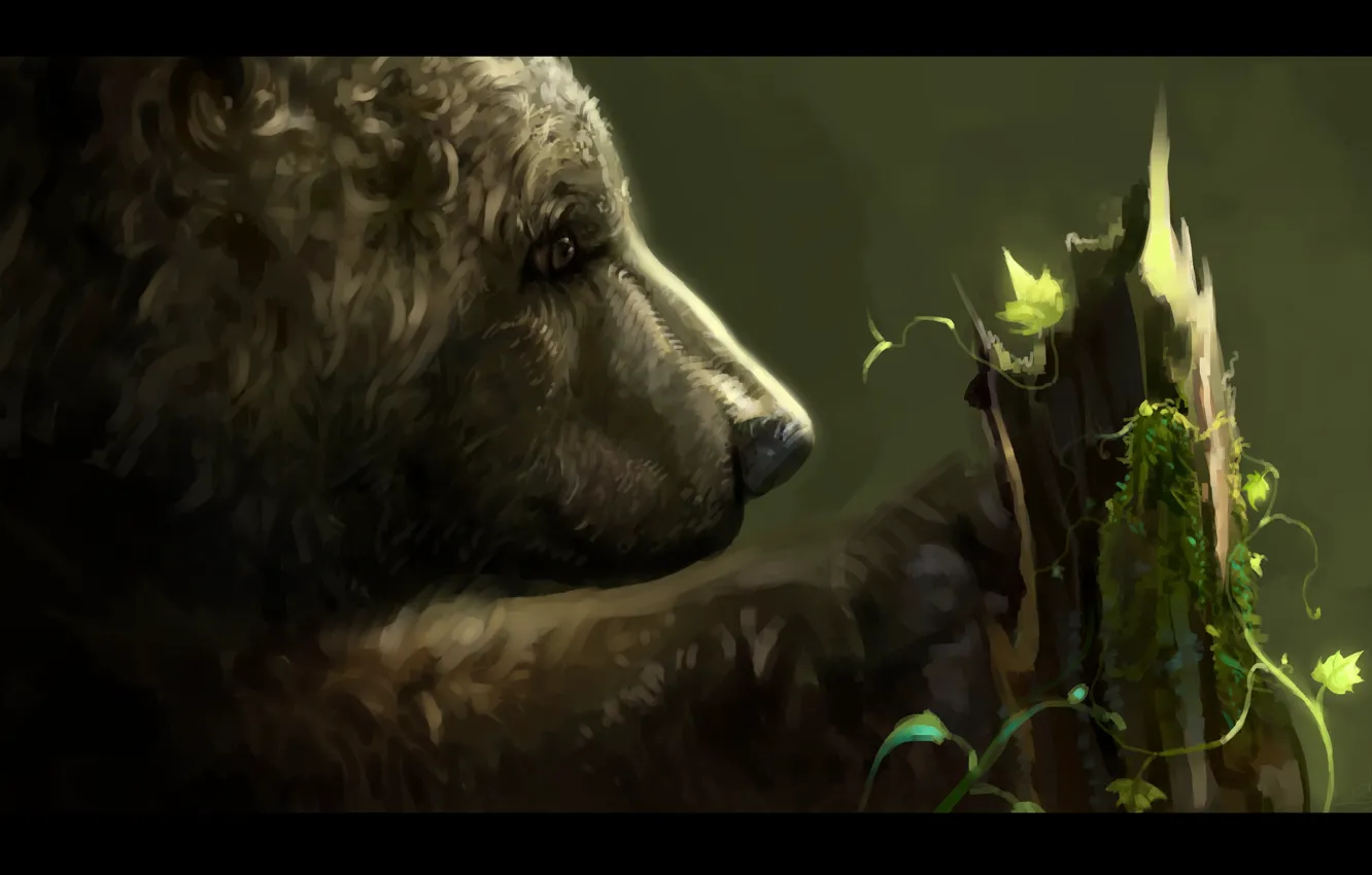Photo wallpaper trees, bear, by SalamanDra-S