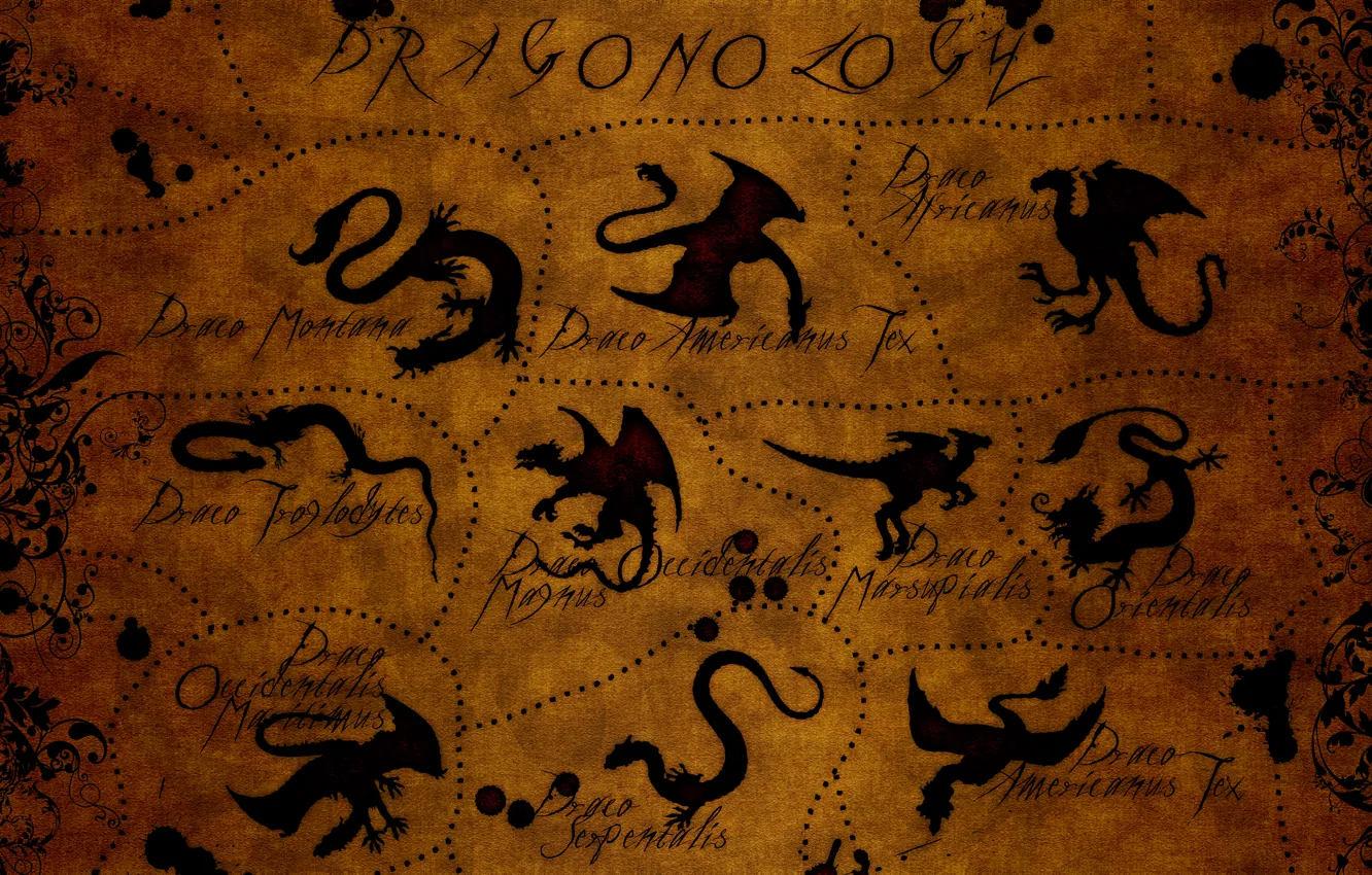Photo wallpaper abstraction, letters, dragon, map