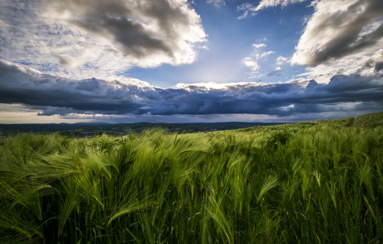 Photo wallpaper field, landscape, clouds, nature, ears, Ireland