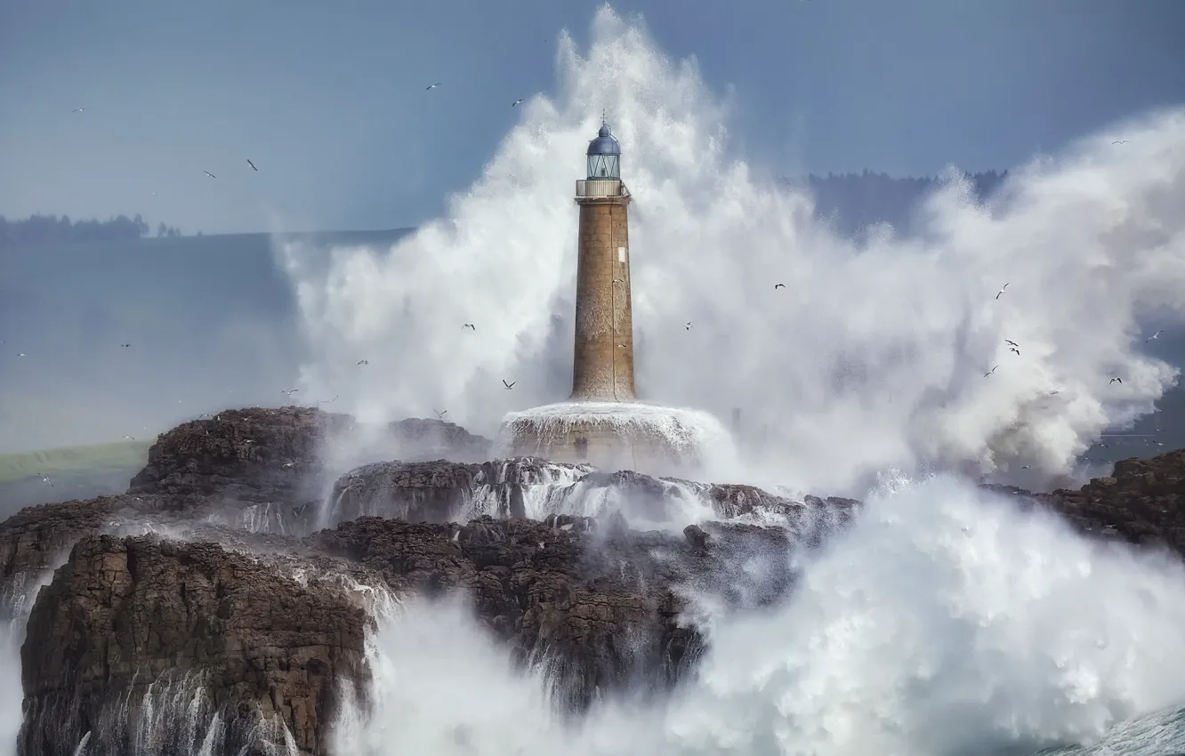 Photo wallpaper sea, wave, rocks, lighthouse, seagulls