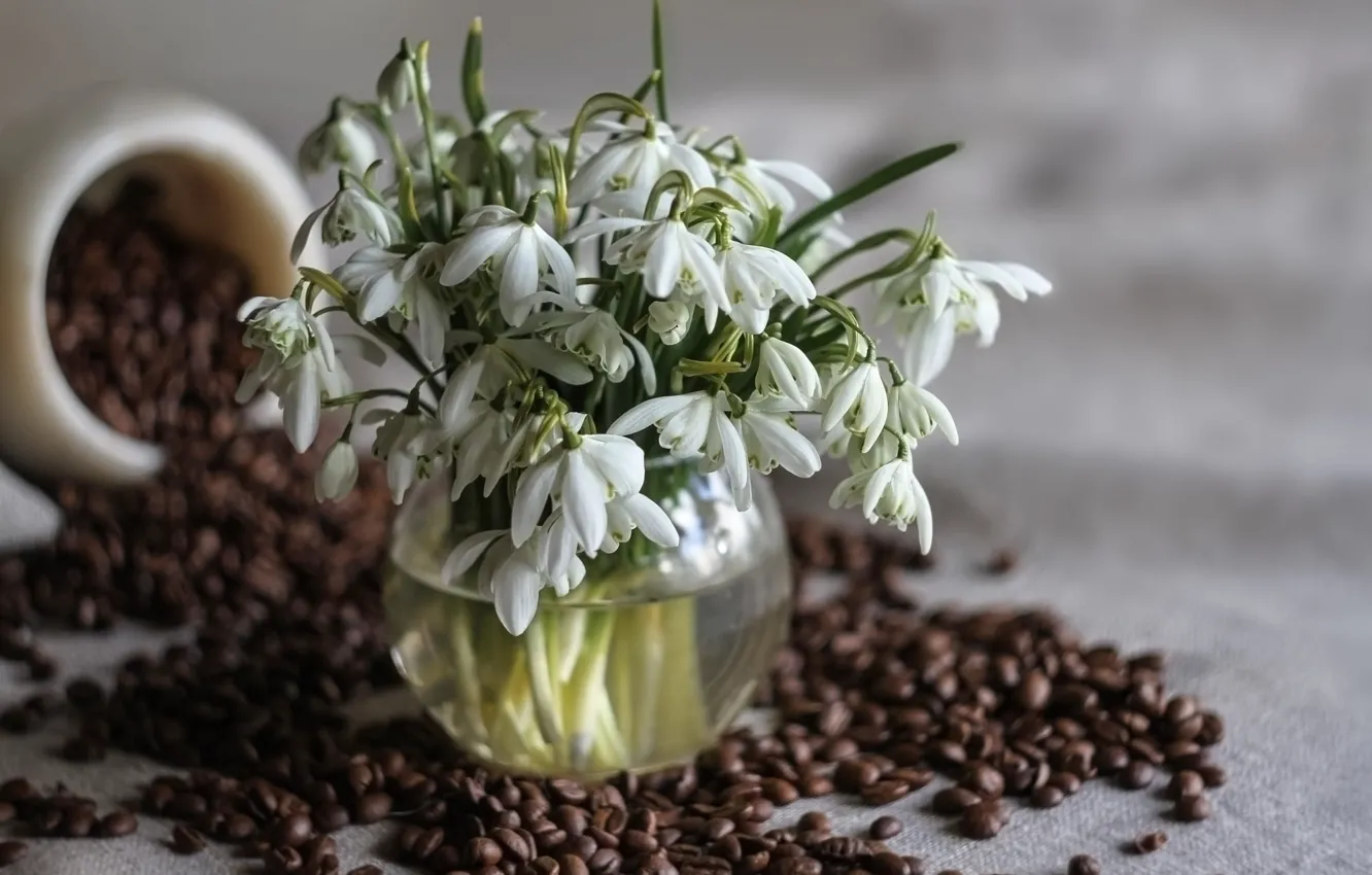 Photo wallpaper flowers, coffee, bouquet, snowdrops, white, still life, coffee beans