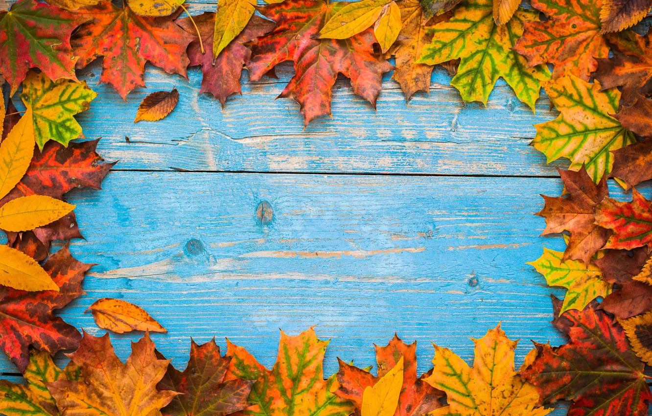 Photo wallpaper autumn, leaves, background, Board, colorful, maple, wood, autumn