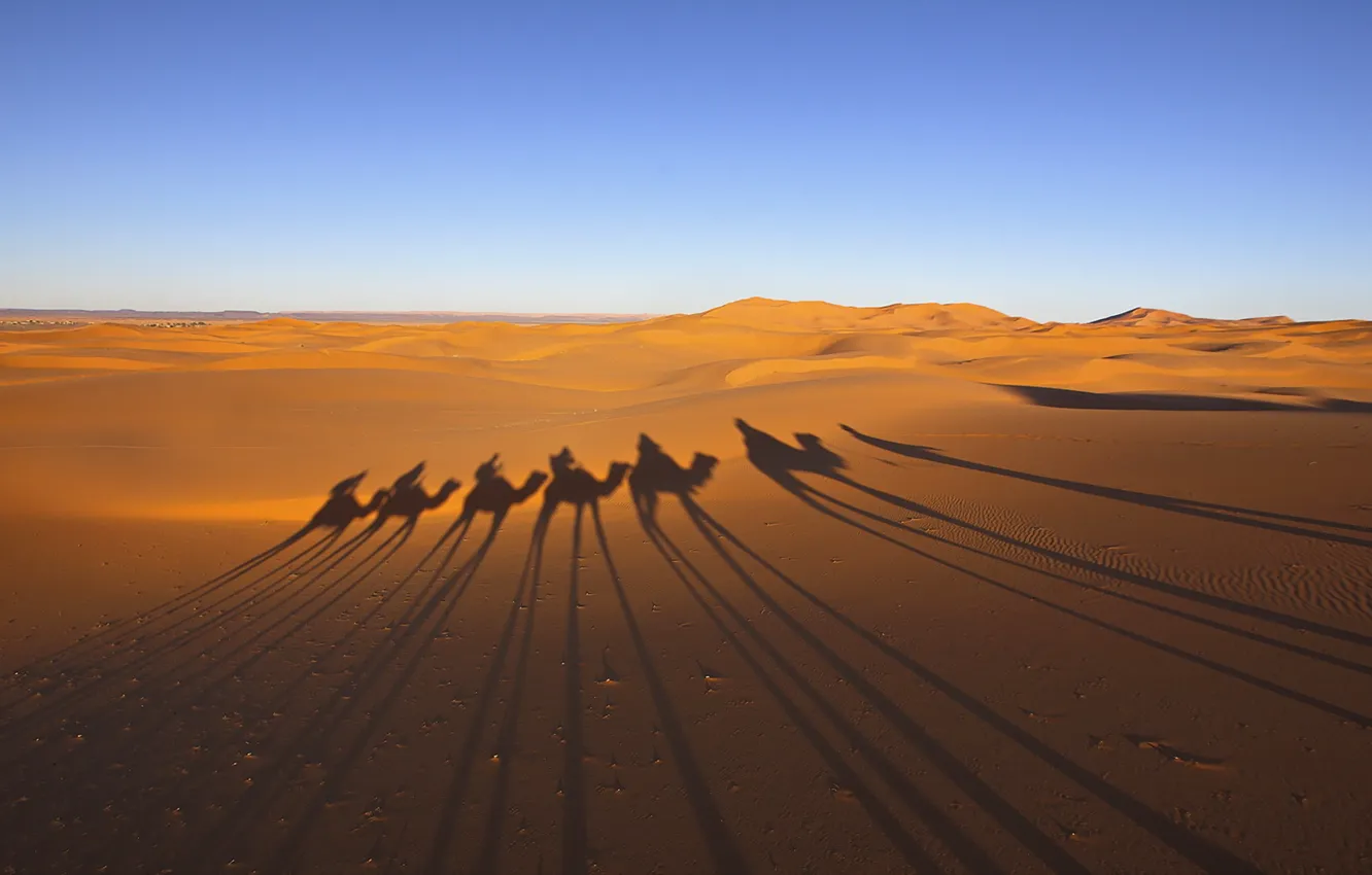 Photo wallpaper desert, shadows, caravan