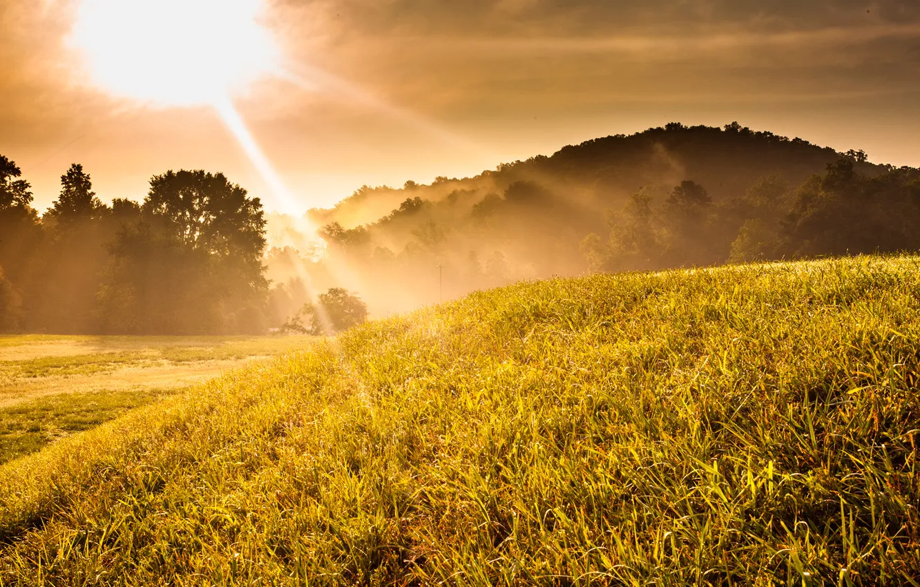 Photo wallpaper autumn, mountains, fog, photo, dawn, morning, the rays of the sun