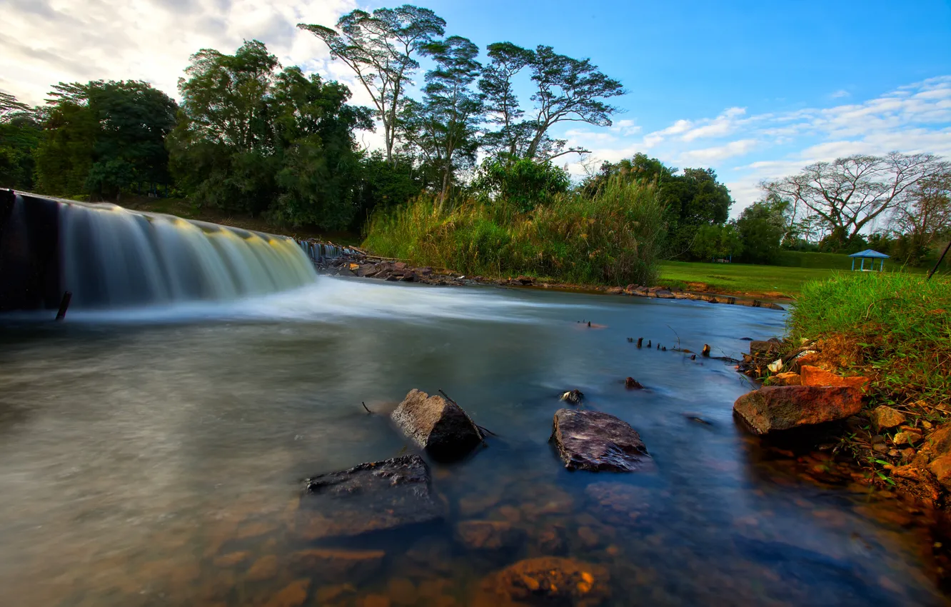 Photo wallpaper forest, the sky, trees, Park, river, stones, waterfall, stream