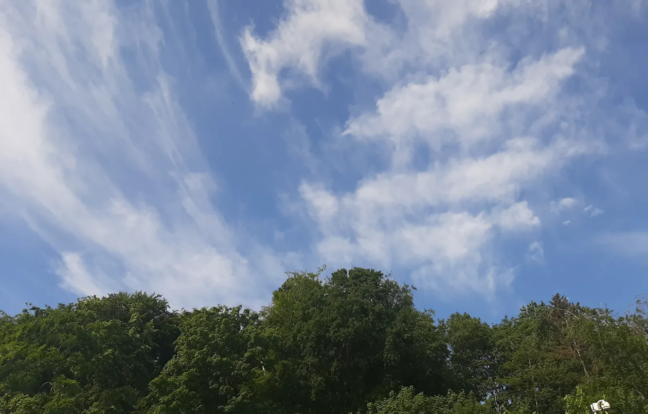 Photo wallpaper niebo, chmury, The