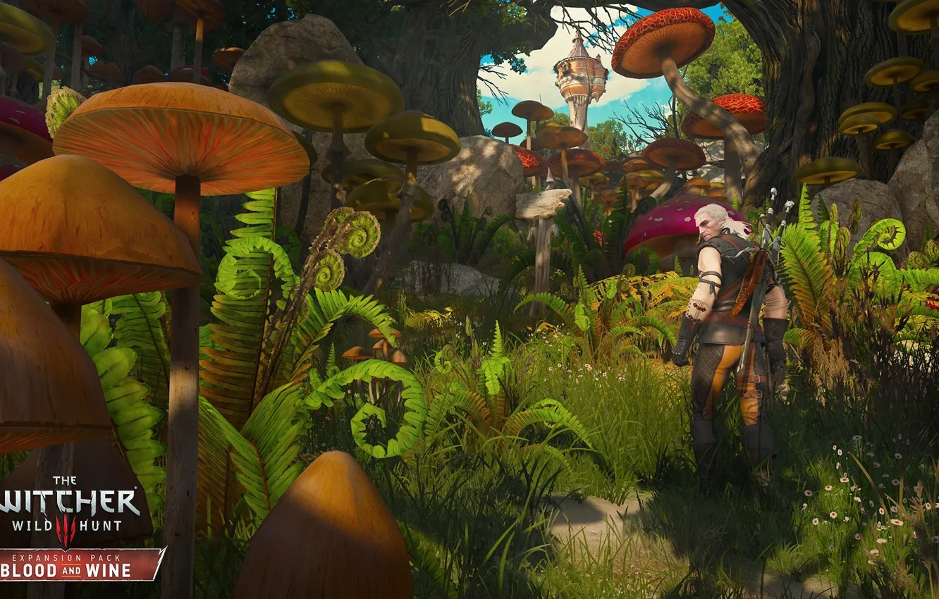 Photo wallpaper DLC, The Witcher 3: Wild Hunt, Supplement, Blood and Wine, Blood and Wine