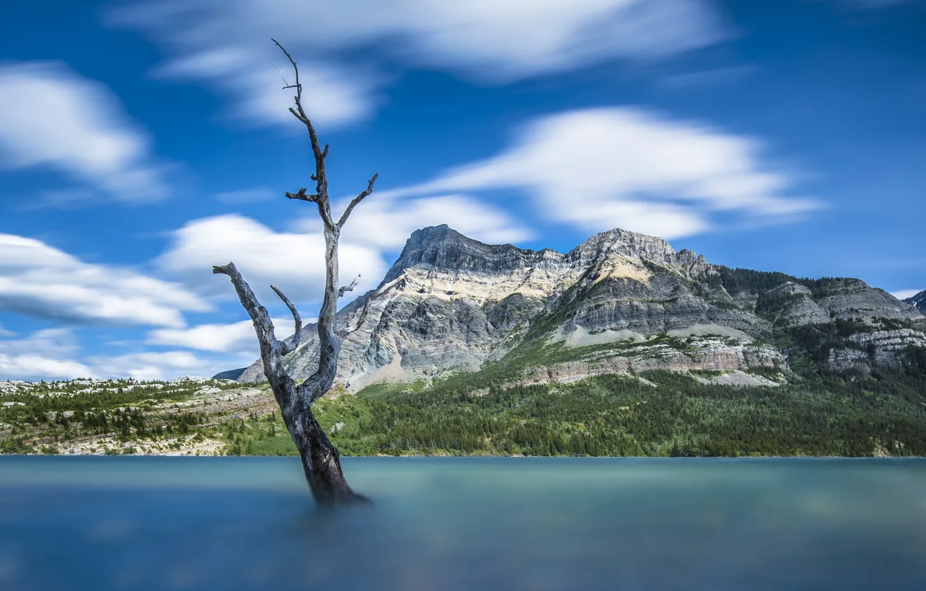 Photo wallpaper trees, mountains, lake, blur, Canada, Albert, Alberta, Canada