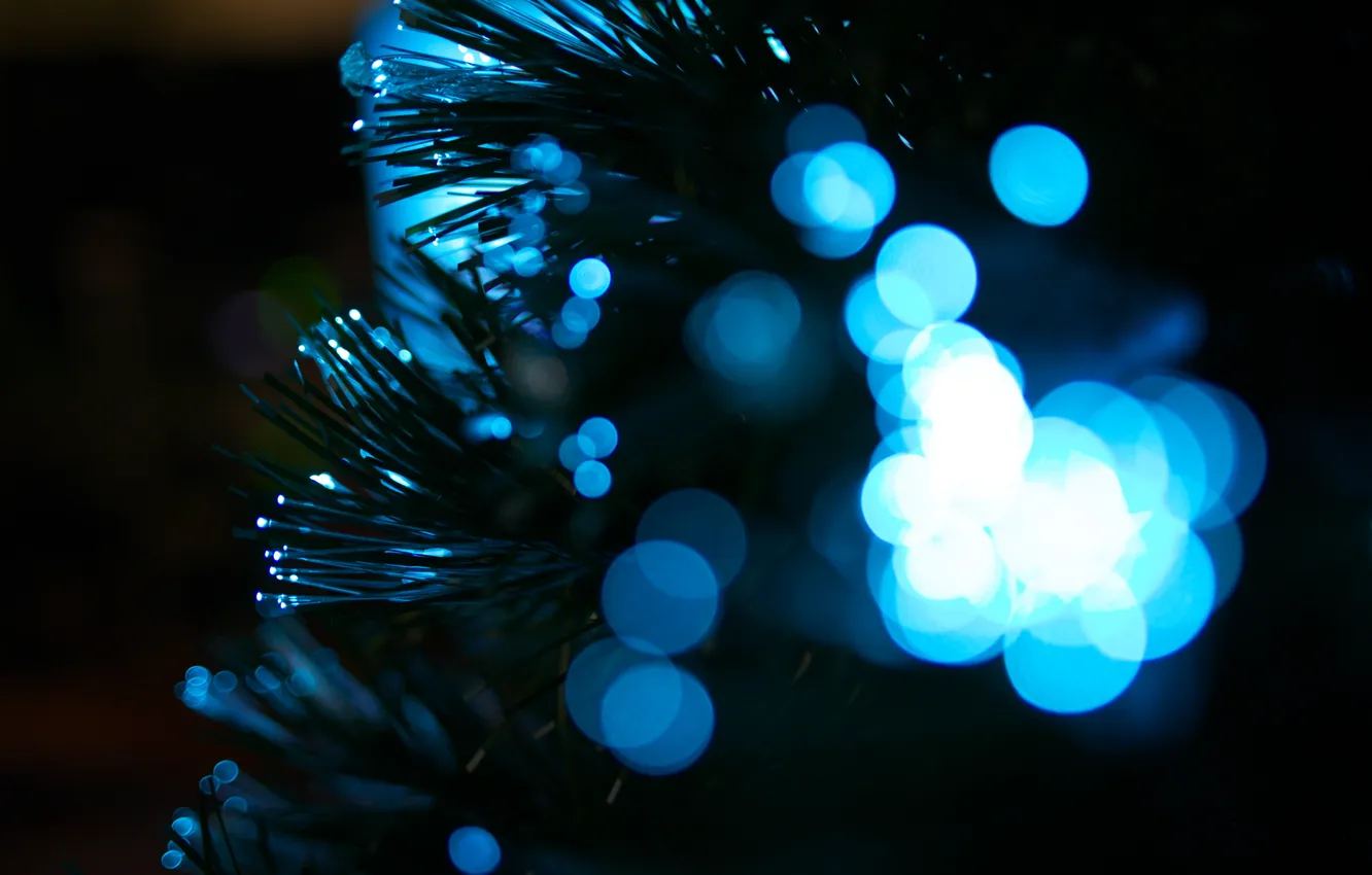 Photo wallpaper macro, blue, bokeh