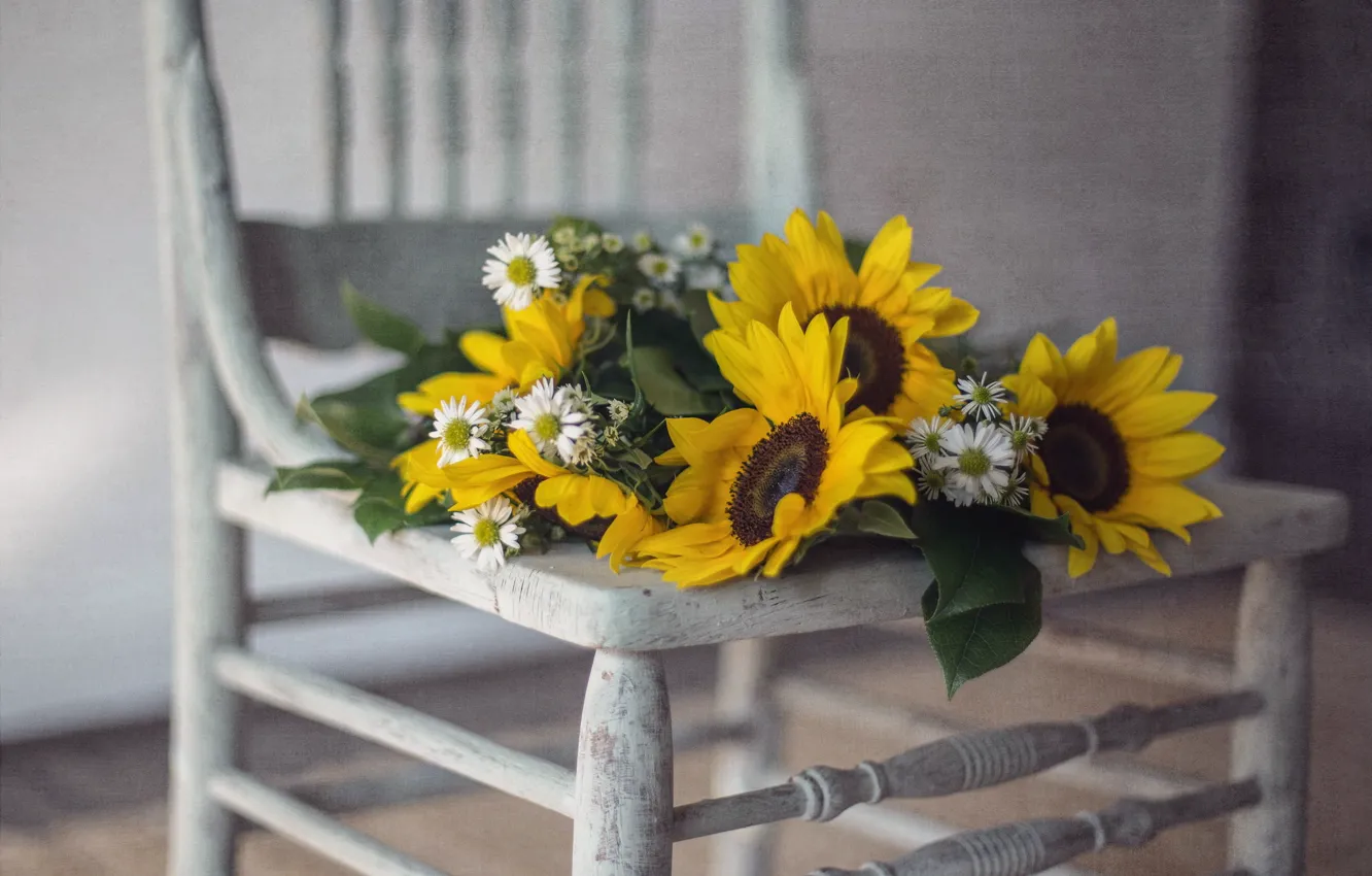 Photo wallpaper flowers, background, chair