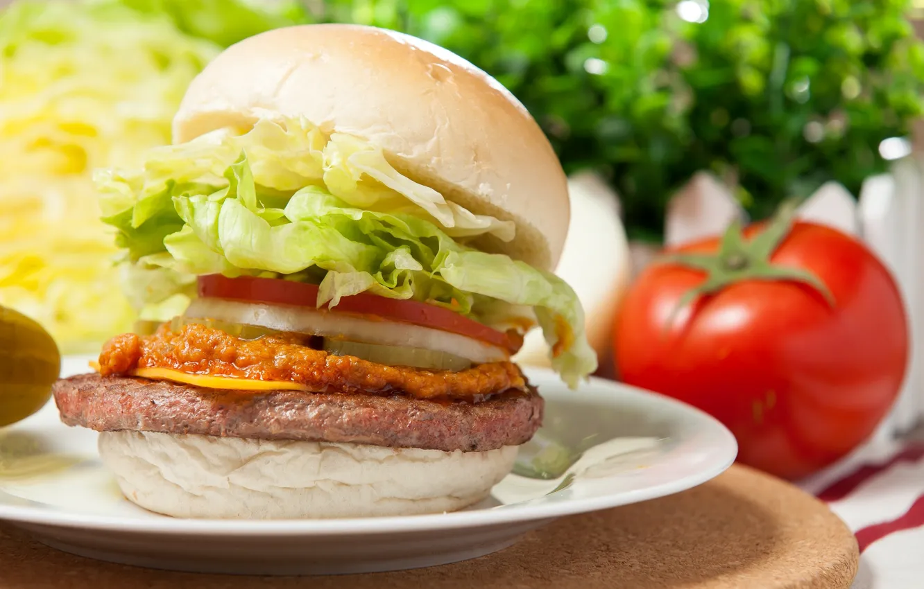 Photo wallpaper tomatoes, hamburger, Patty, salad
