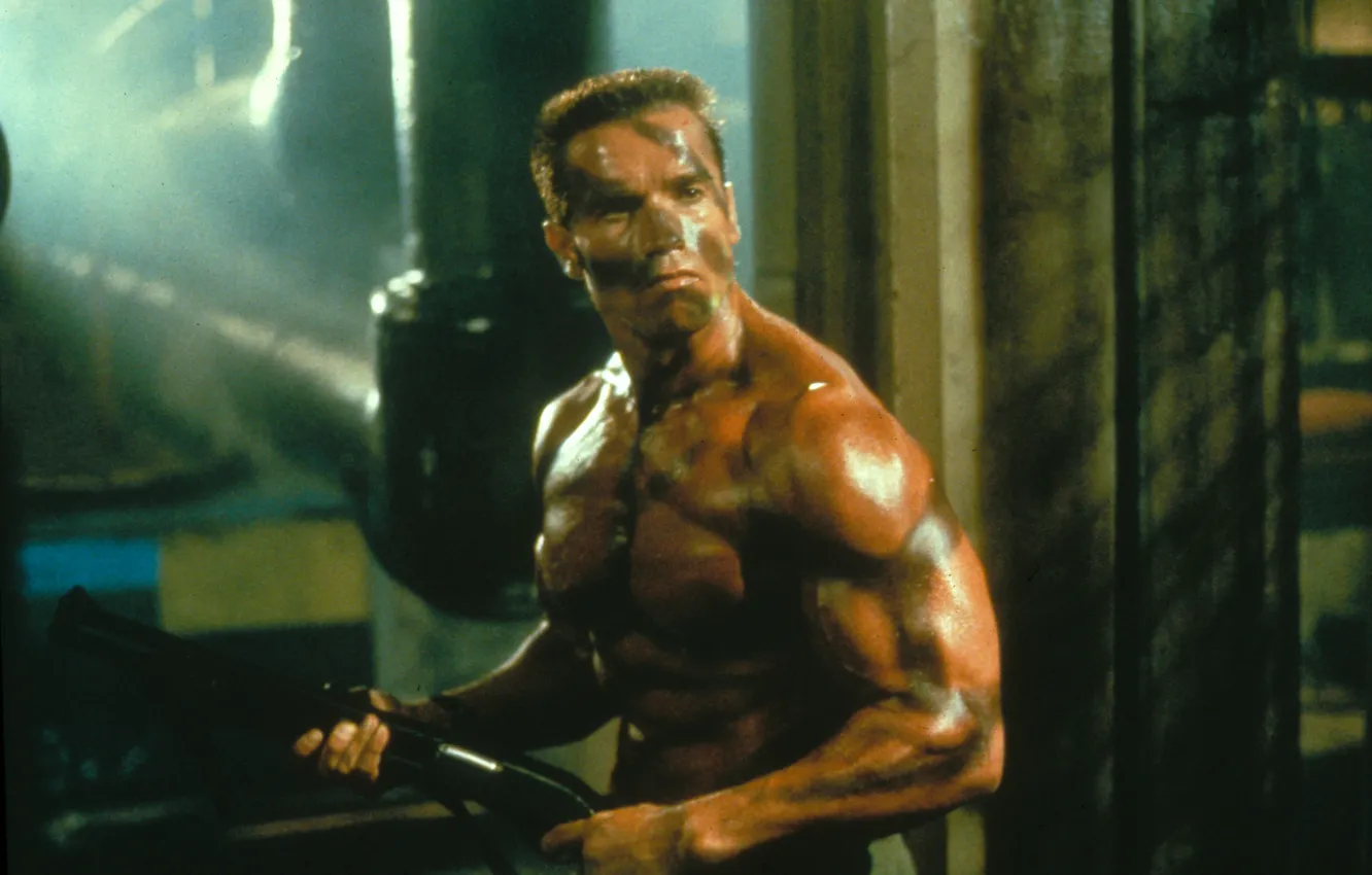 Photo wallpaper Commando, Arnold Schwarzenegger, Arnold Schwarzenegger, John Matrix, Commando