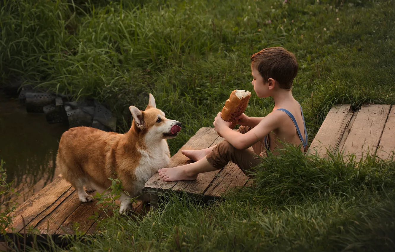 Photo wallpaper grass, animal, dog, boy, bread, child, dog, baton