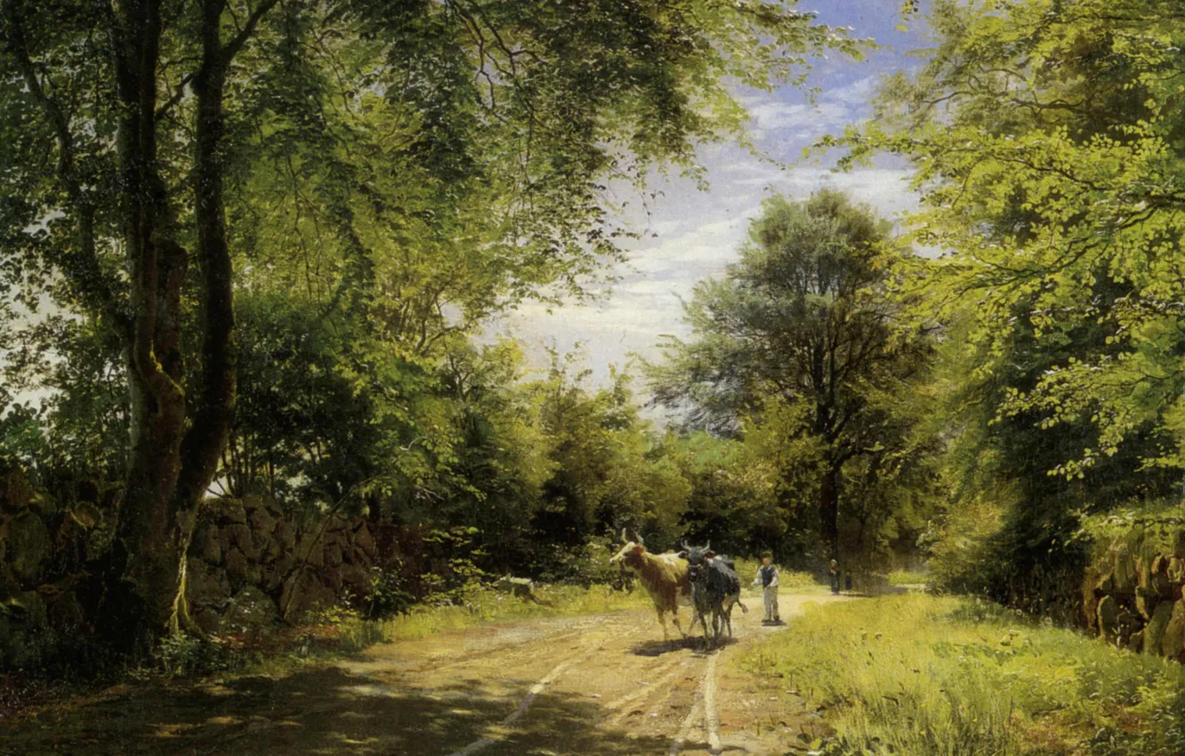 Photo wallpaper greens, forest, summer, landscape, nature, green, glade, trail