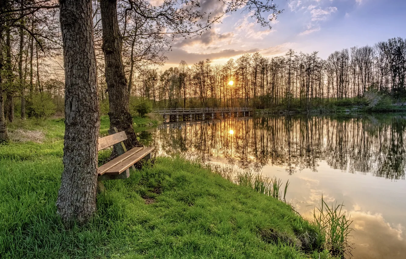 Photo wallpaper sunset, lake, Park, bench