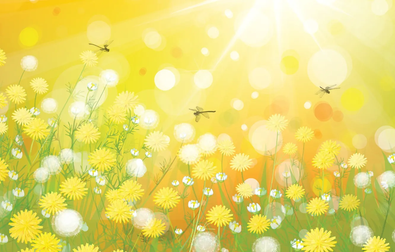 Photo wallpaper grass, rays, light, flowers, collage, dragonfly, meadow