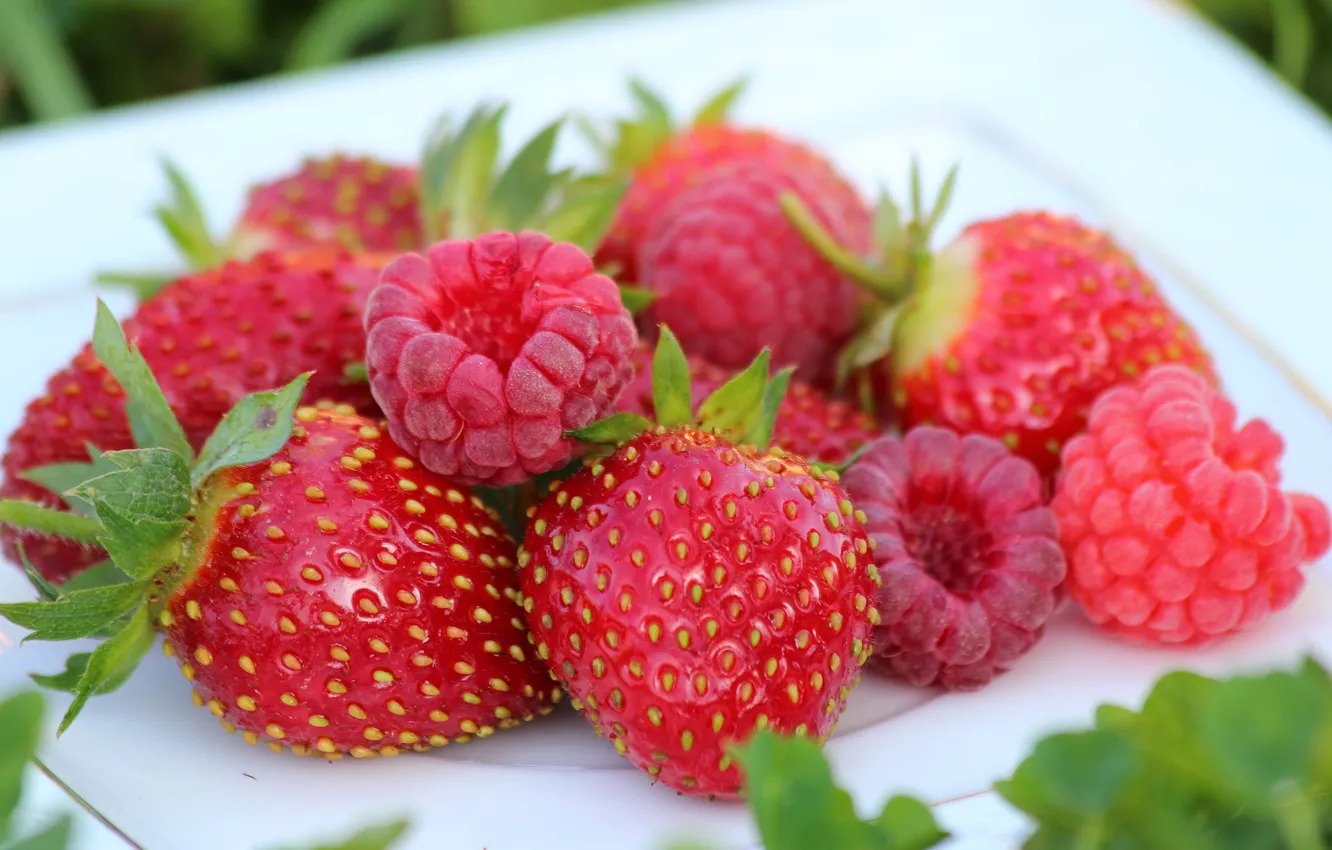 Photo wallpaper autumn, berries, raspberry, beauty, strawberry, September, delicious, cottage