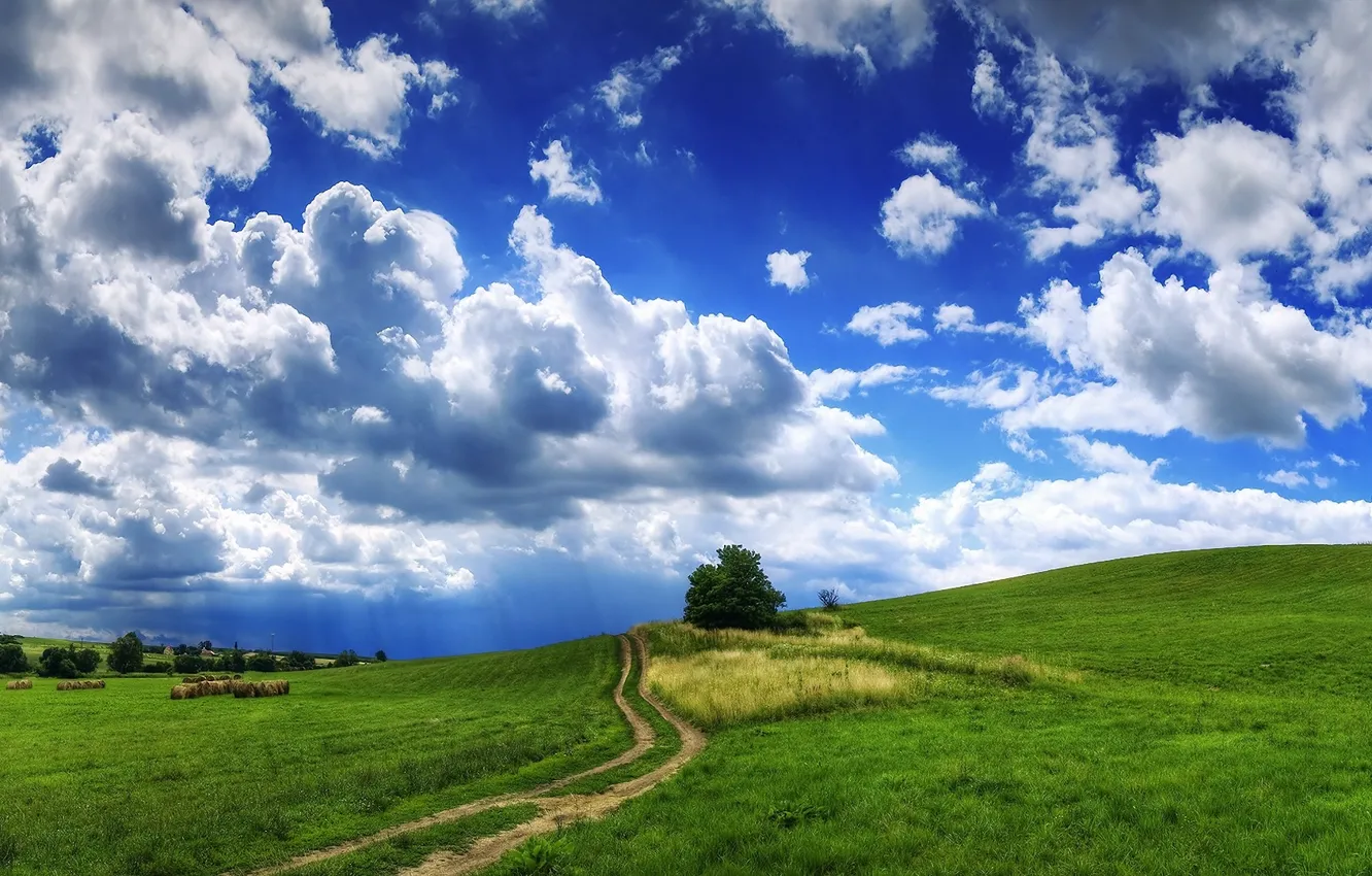 Photo wallpaper road, grass, clouds, landscape, clouds, tree, hills, hay