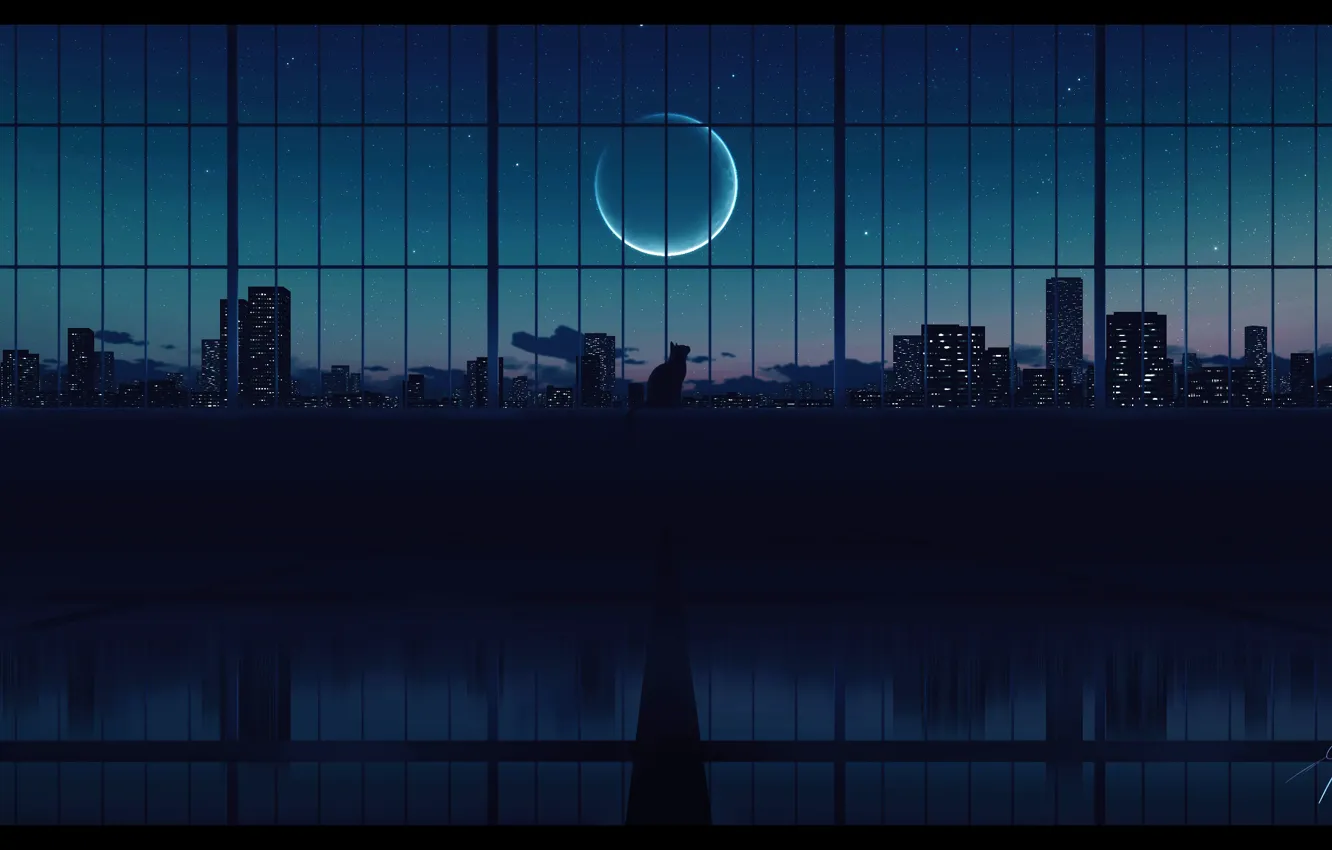 Photo wallpaper cat, night, the city, the moon