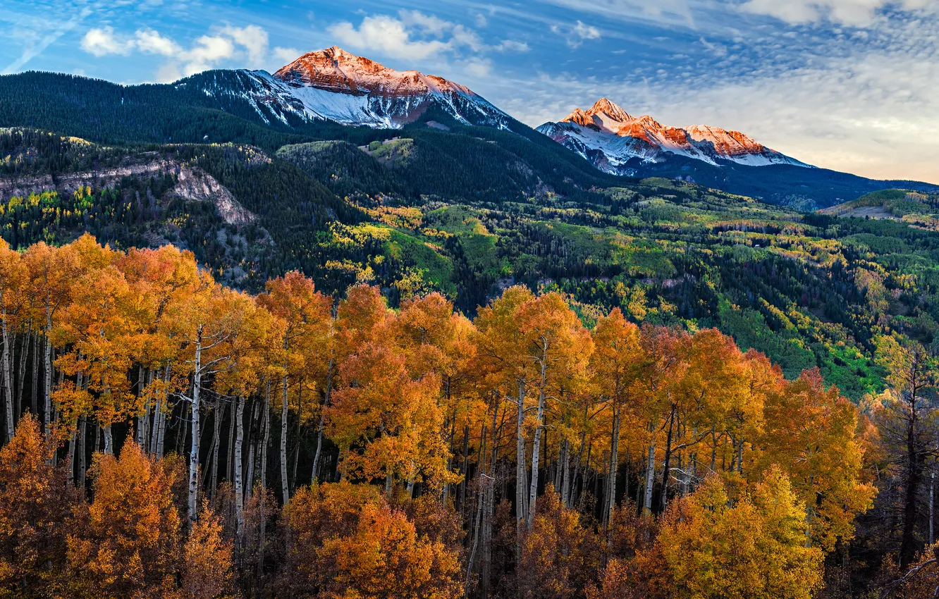 Photo wallpaper autumn, forest, clouds, snow, trees, mountains, blue, the slopes