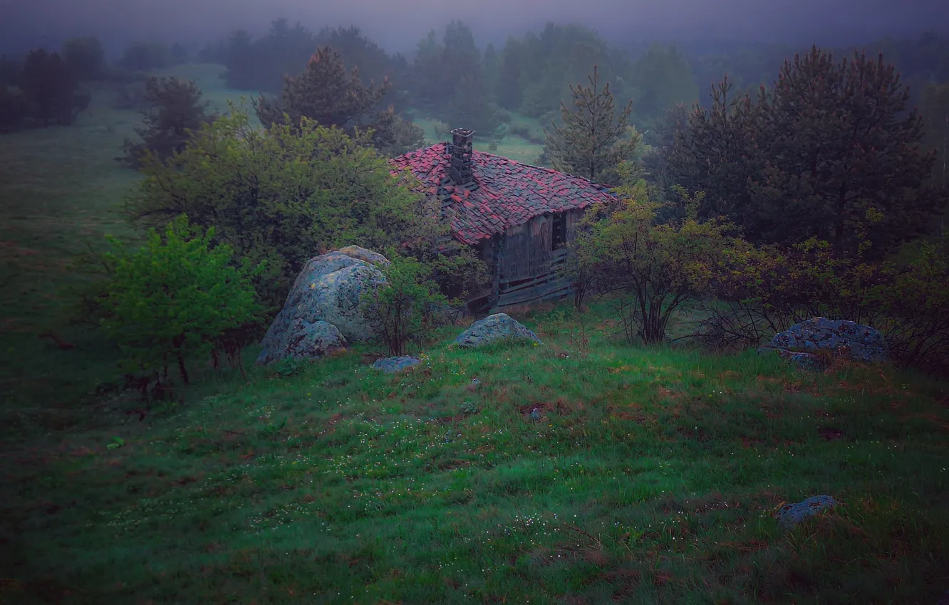 Photo wallpaper trees, green grass, morning, haze, old house, Nikolov Andriyan, tiled roof