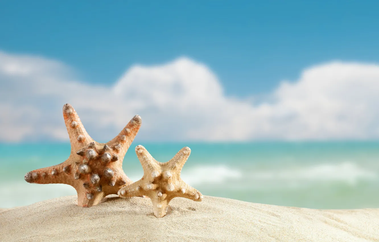 Photo wallpaper sand, sea, beach, summer, summer, beach, sea, sand