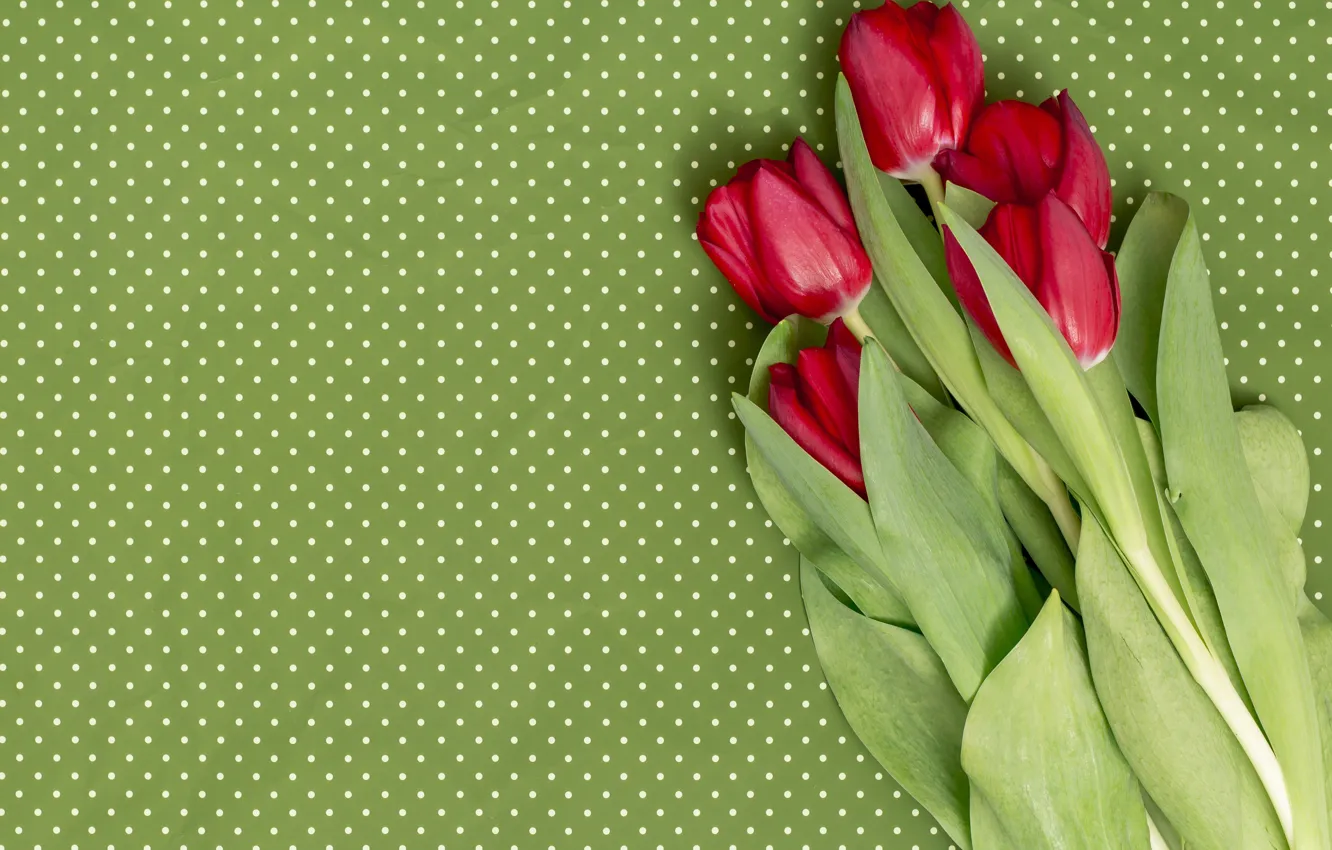 Photo wallpaper flowers, red, bouquet, tulips, red, flowers, tulips, spring