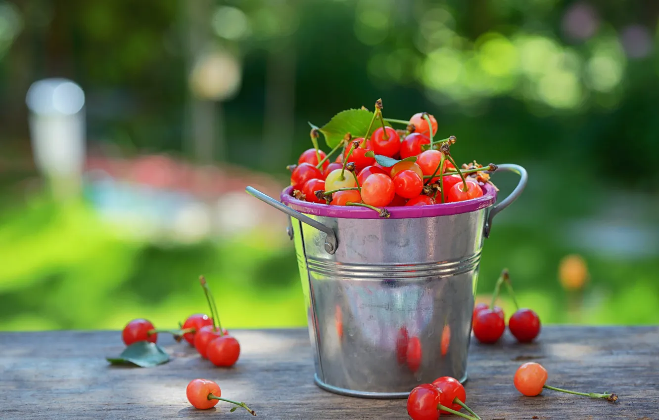 Photo wallpaper summer, light, cherry, berries, background, harvest, bucket, cherry