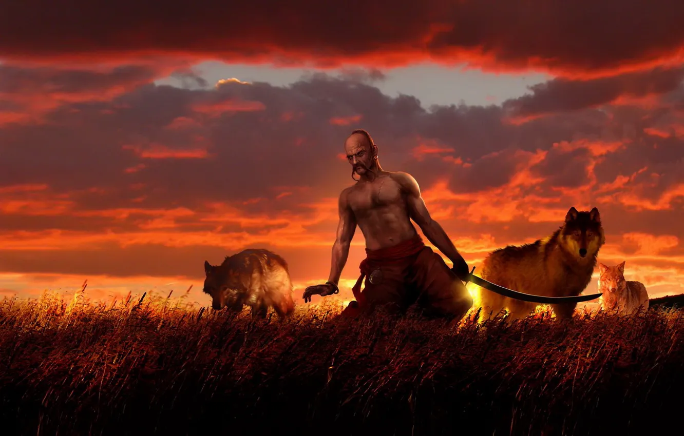 Photo wallpaper the sun, sunset, Ukrainians, saber, Seki, Rus, Russian, Slavs