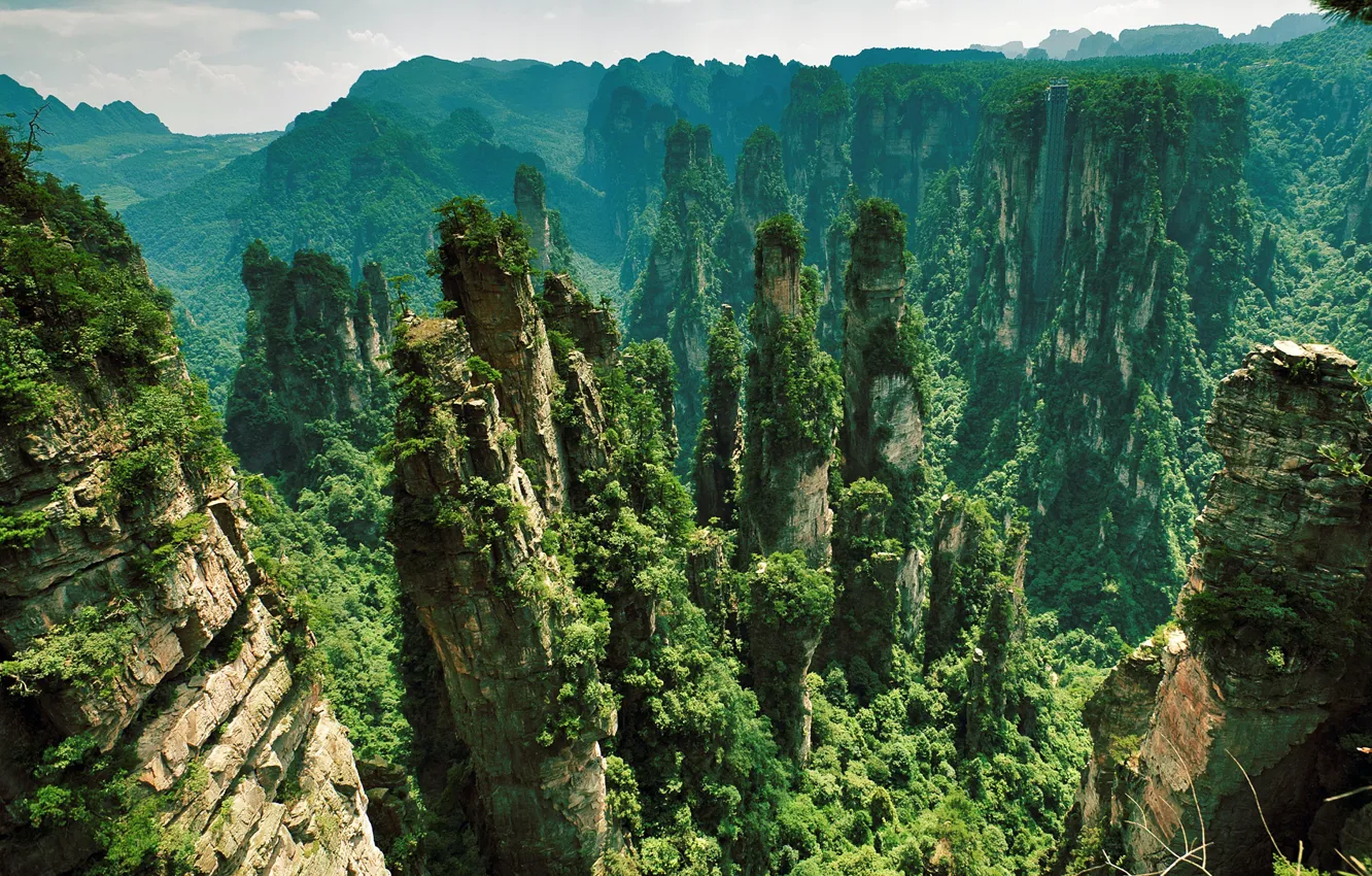 Photo wallpaper greens, mountains, rock