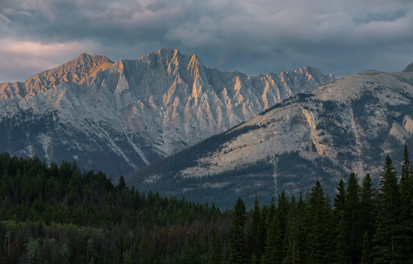 Photo wallpaper winter, forest, the sky, clouds, snow, mountains, rocks, the slopes