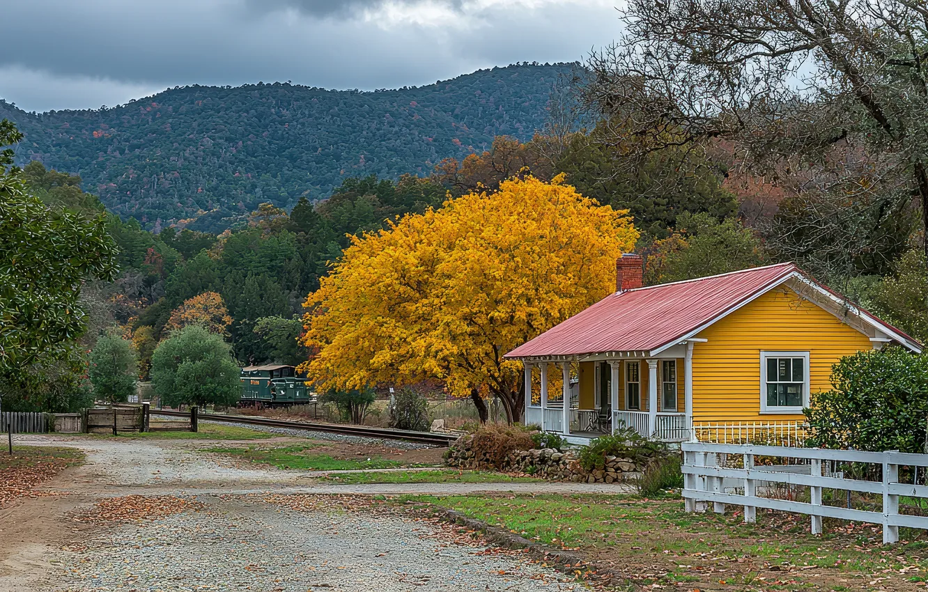 Photo wallpaper road, autumn, forest, clouds, trees, landscape, mountains, branches