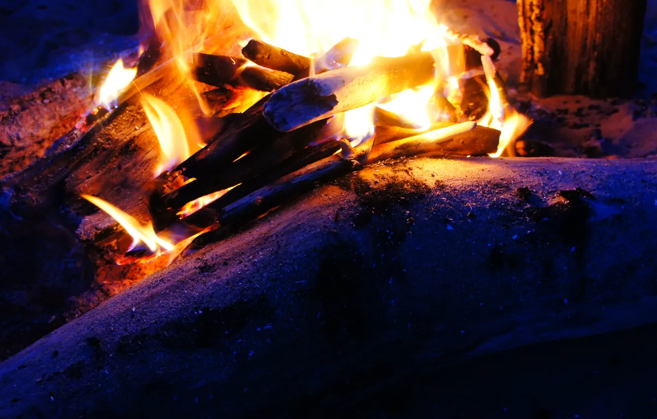 Photo wallpaper sand, trees, lights, the fire