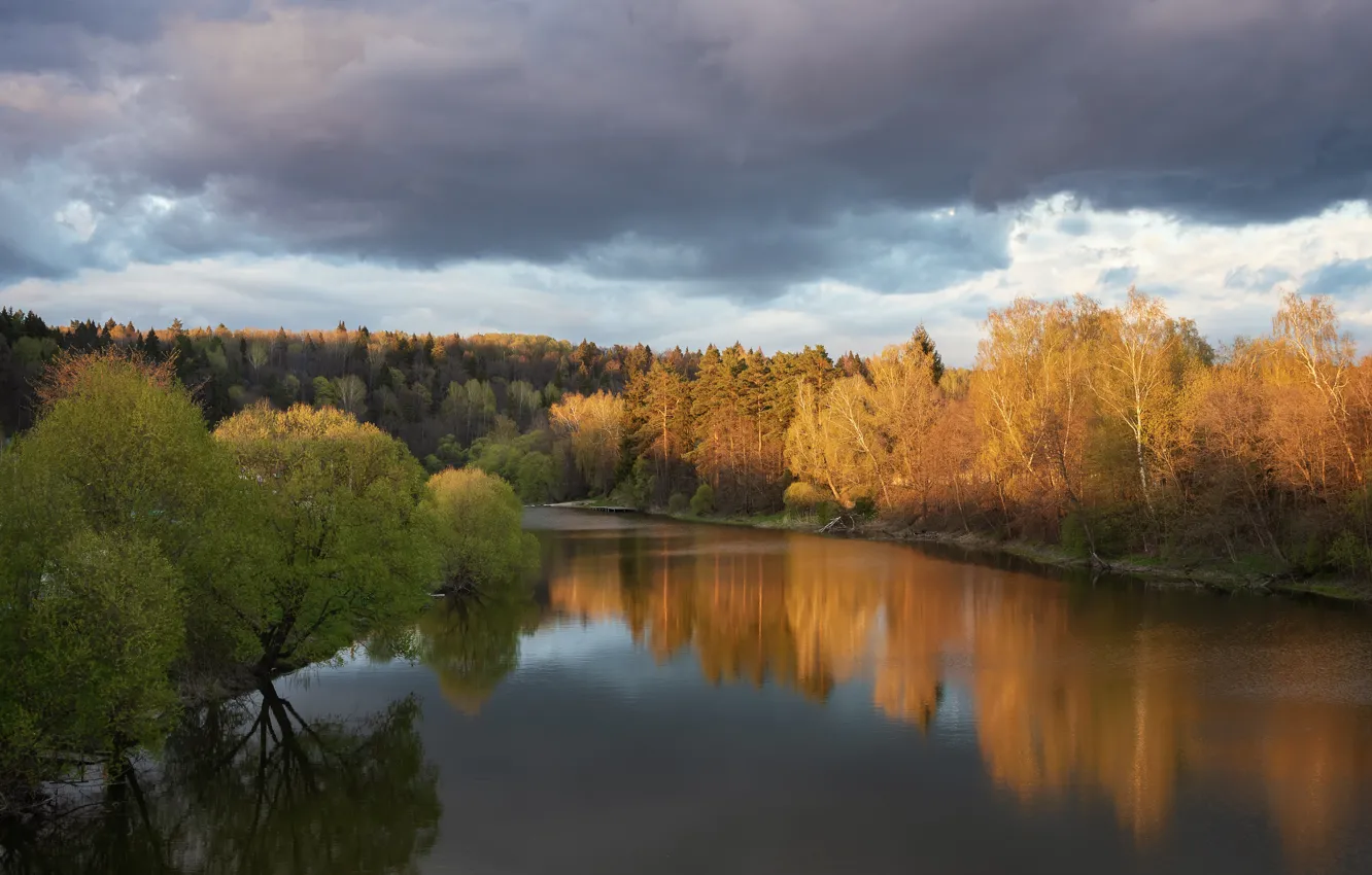 Photo wallpaper autumn, forest, the sky, light, clouds, reflection, shore, pond