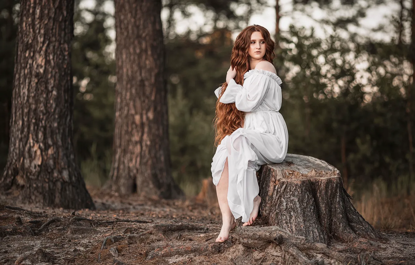 Photo wallpaper forest, look, girl, trees, nature, trunks, stump, barefoot