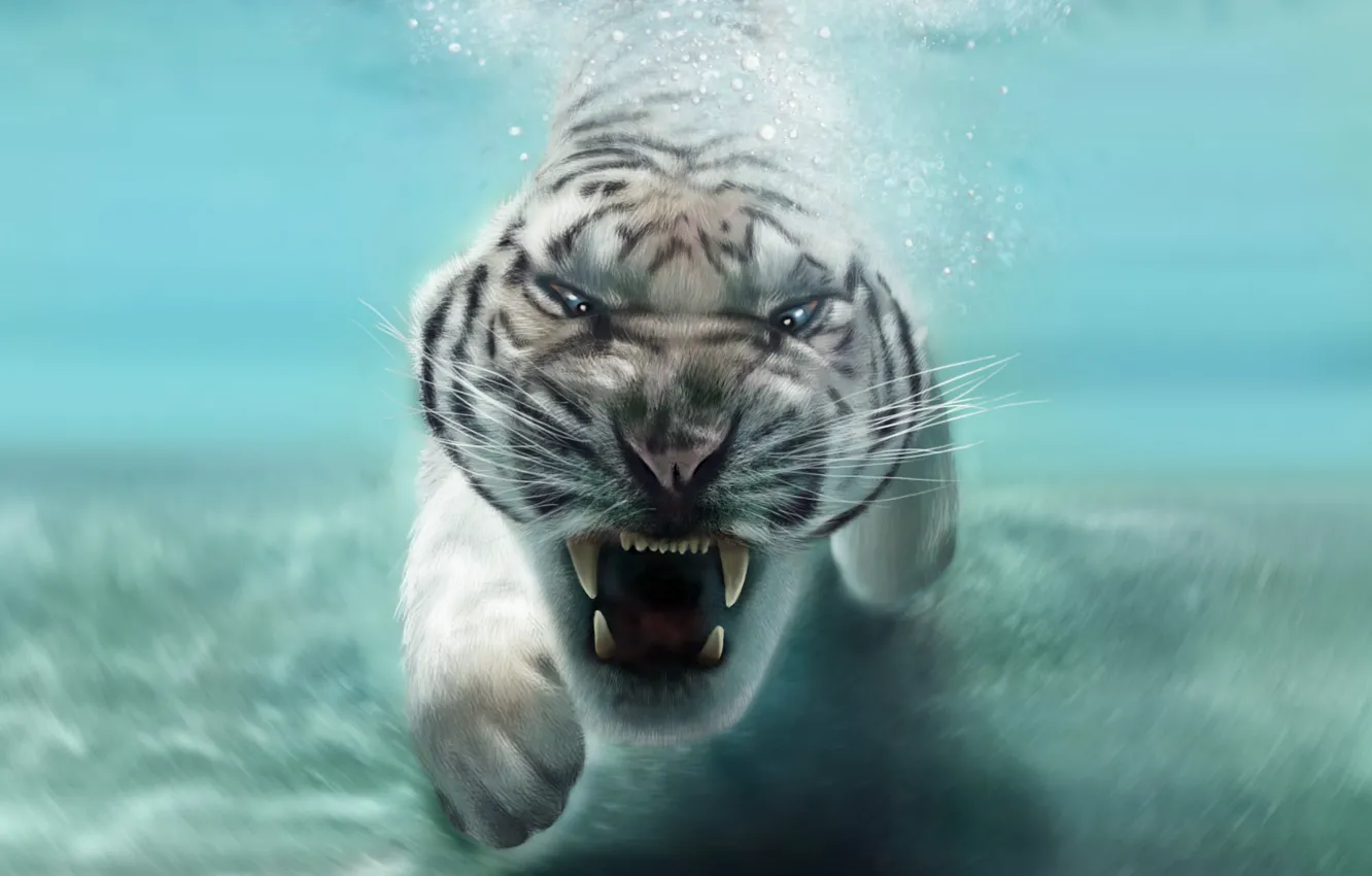 Photo wallpaper face, animal, predator, mouth, fangs, white tiger, in the water
