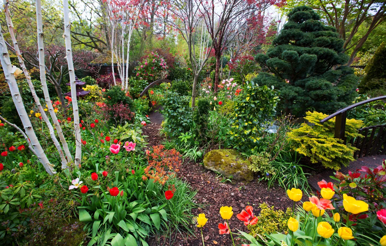 Photo wallpaper trees, flowers, England, garden, tulips, bridges, the bushes, Walsall Garden