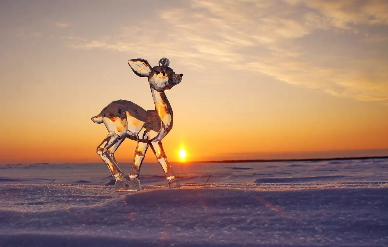 Photo wallpaper ice, winter, the sun, snow, sunset, sculpture, fawn