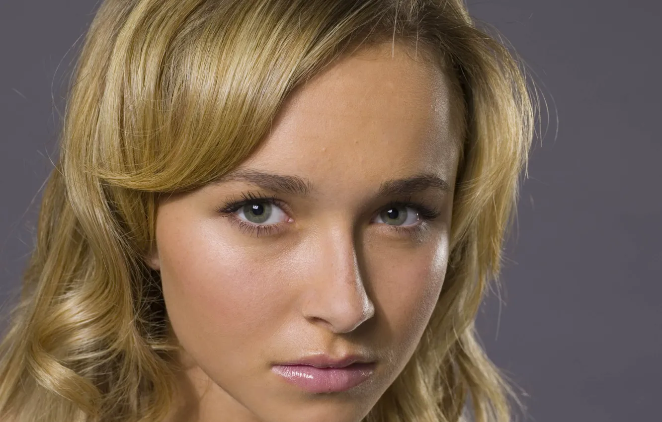 Photo wallpaper actress, Hayden Panettiere, blonde