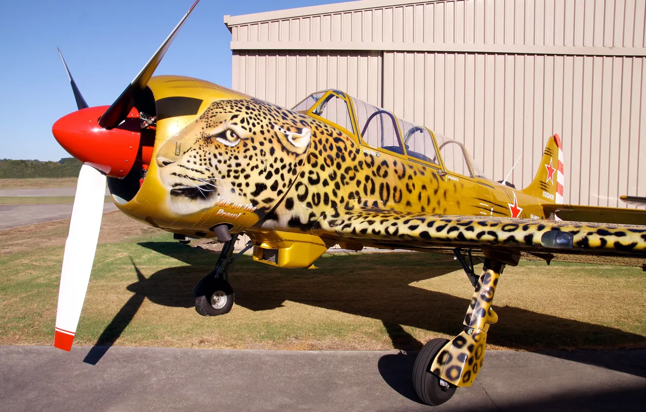 Photo wallpaper the plane, leopard, airbrushing, Airshow, club, military, collection, Russian