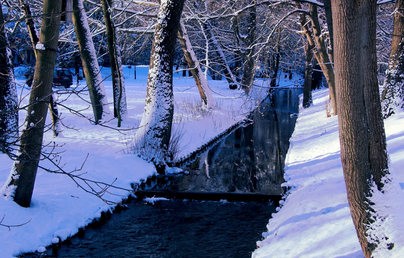 Photo wallpaper river, park, winter, snow