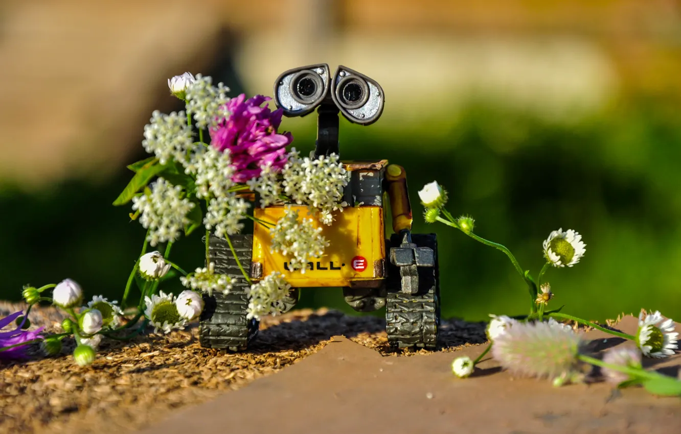 Photo wallpaper summer, flowers, wall-e, WALL-E