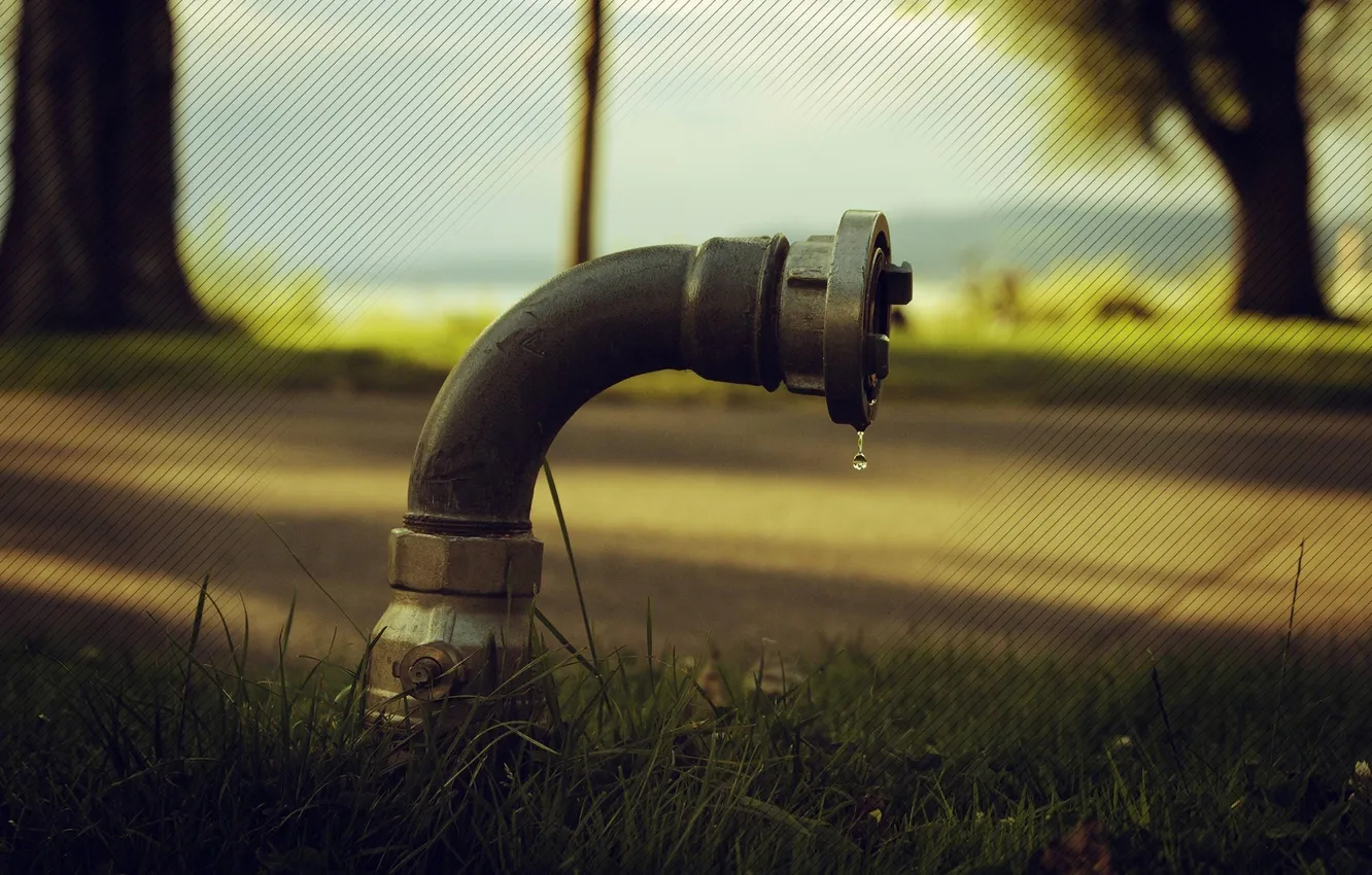 Photo wallpaper grass, pipe, a drop of water