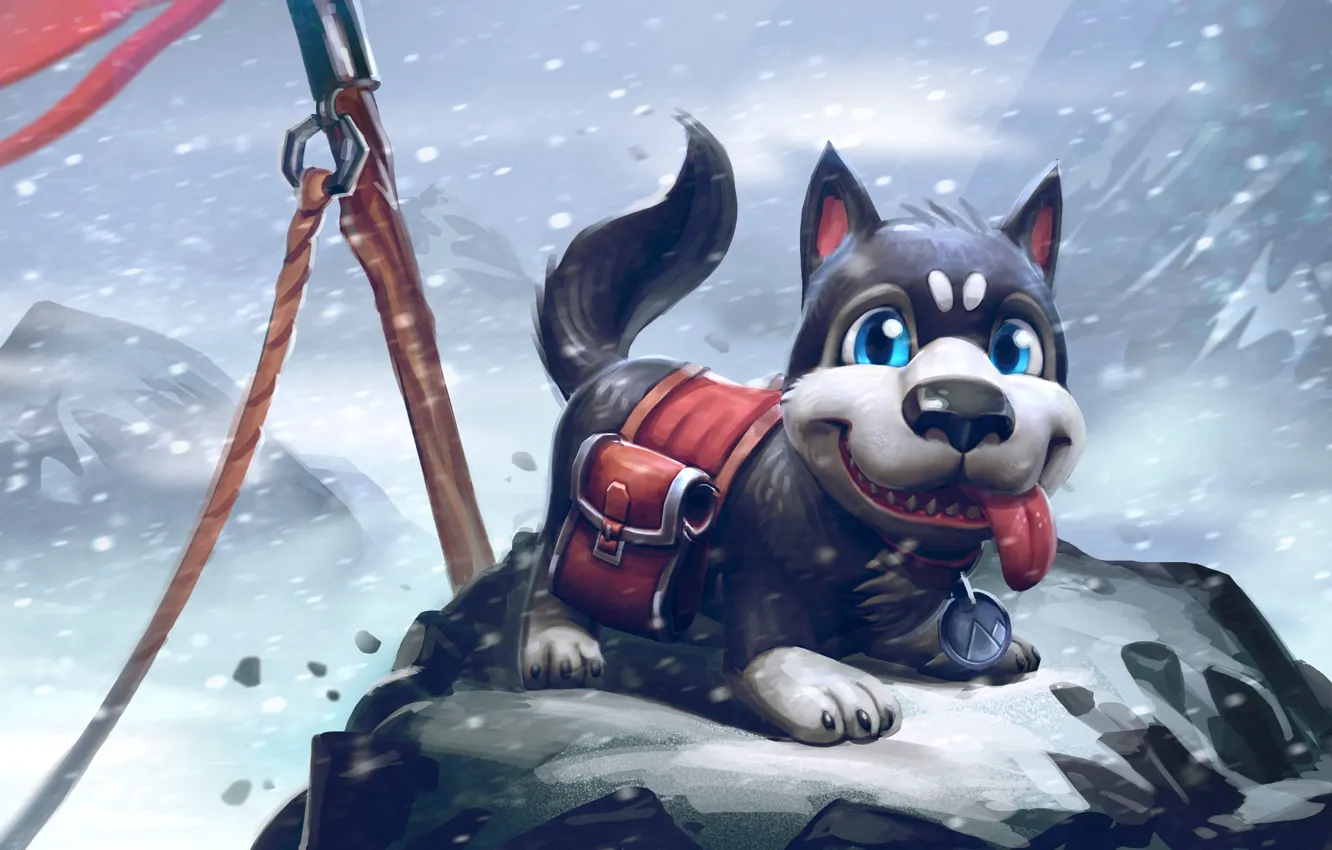 Photo wallpaper Dota 2, Courier, Imported, Duskie The Husky