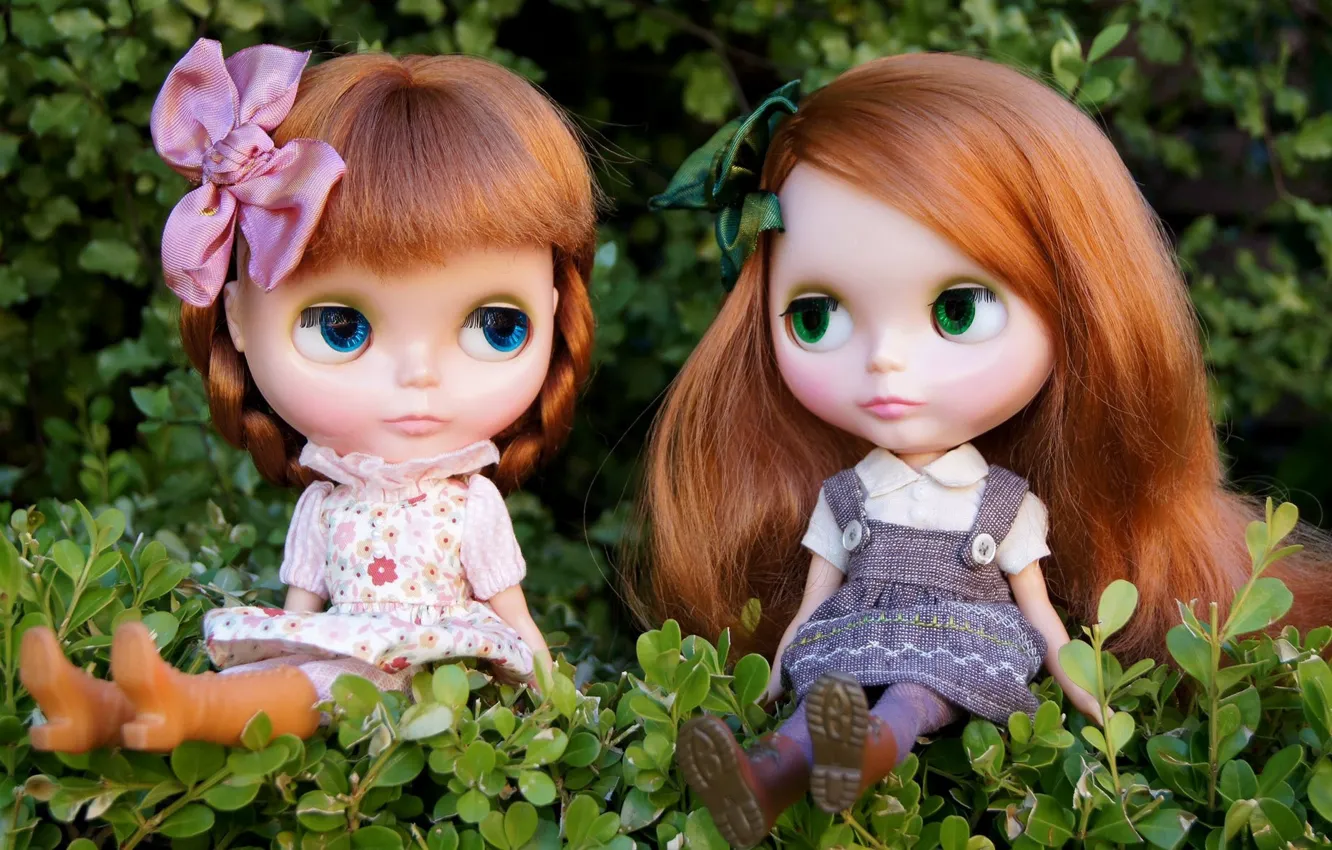 Photo wallpaper nature, girls, toys, doll, red, sitting