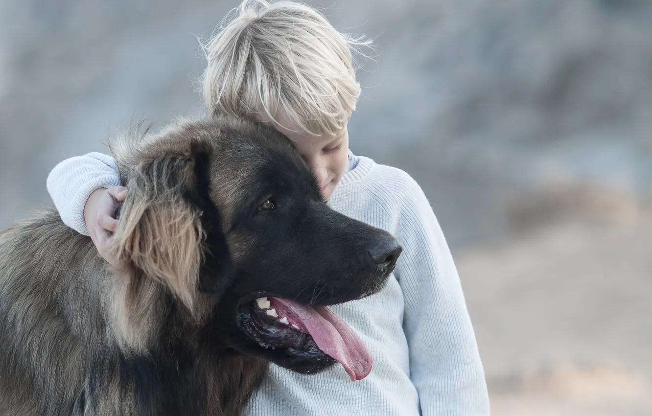Photo wallpaper mood, dog, boy, friendship, friends, dog, Leonberger