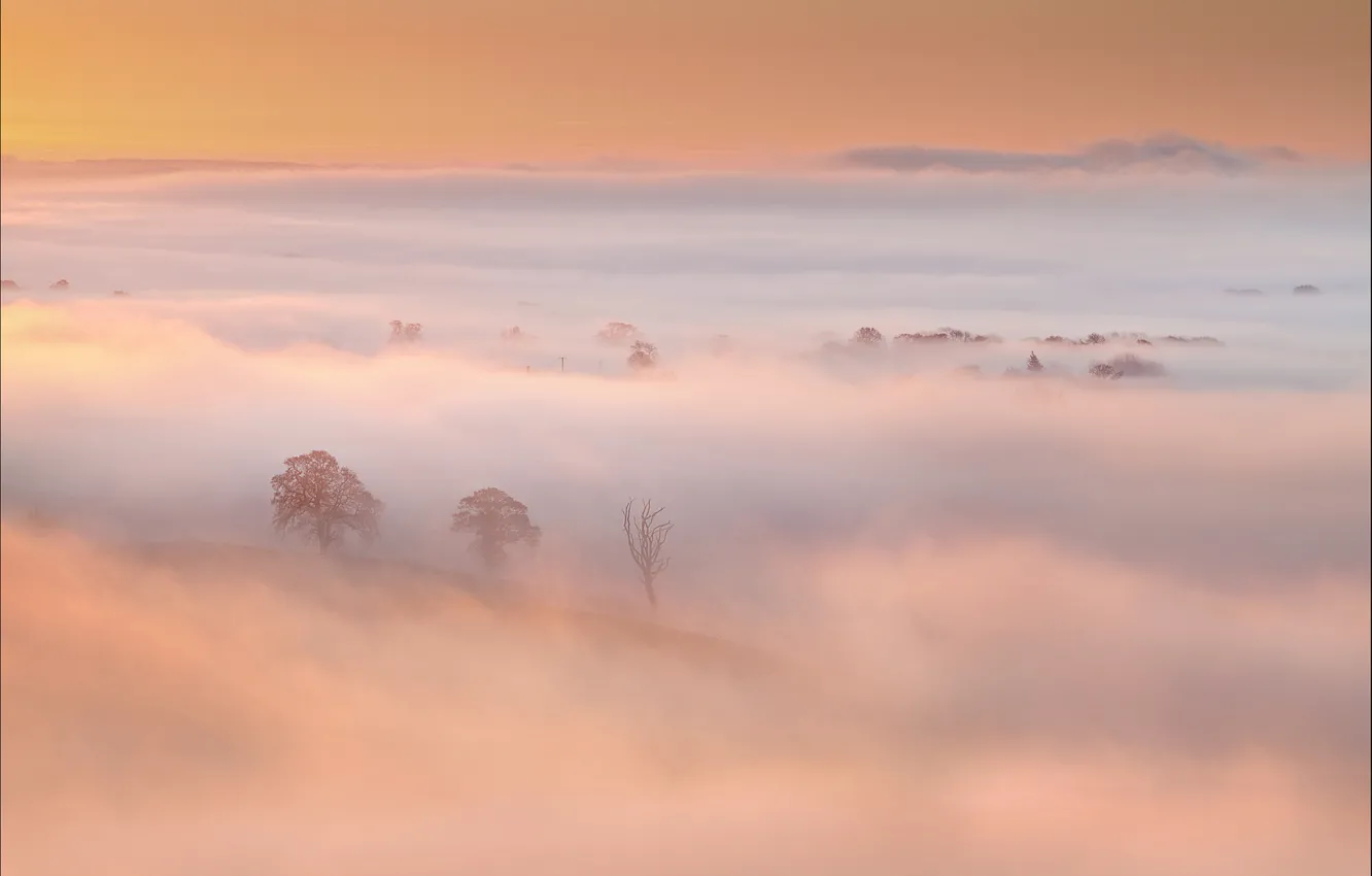 Photo wallpaper the sky, trees, fog, hills, morning