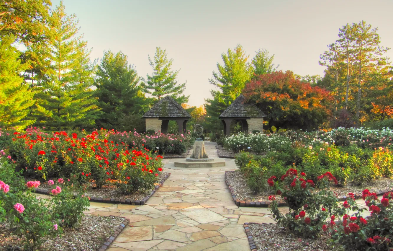 Photo wallpaper Park, roses, garden, gazebo, park, garden, roses, path