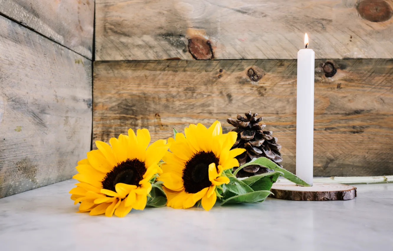 Photo wallpaper sunflowers, candles, bumps