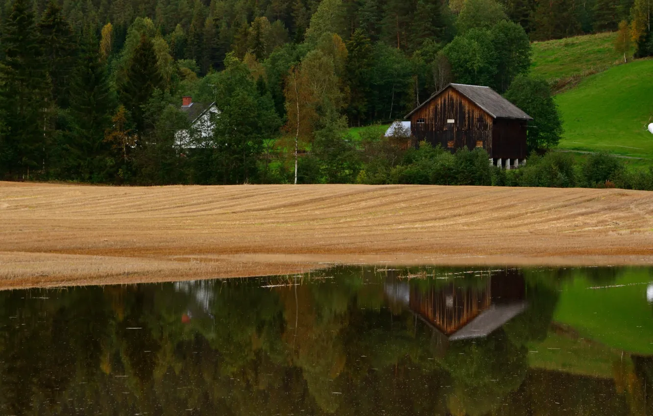 Photo wallpaper field, nature, lake, Norway, field, nature, lake, Norway